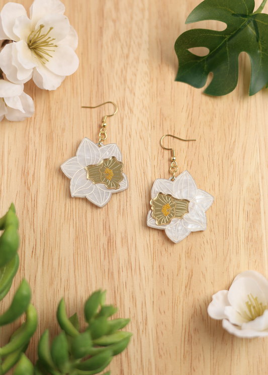 Daffodils